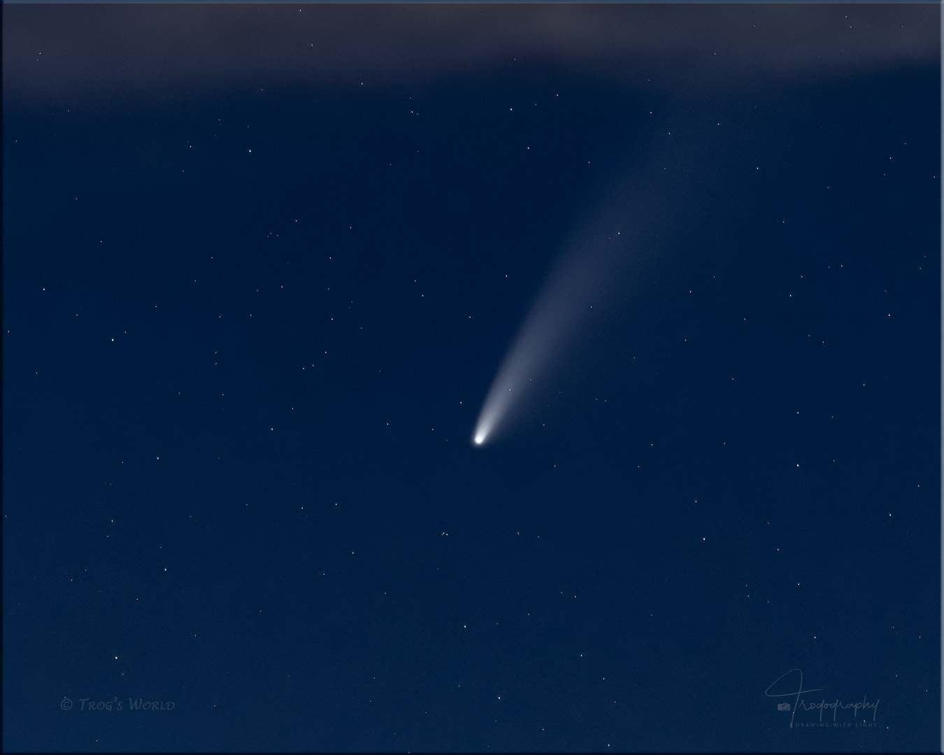 Neowise Comet