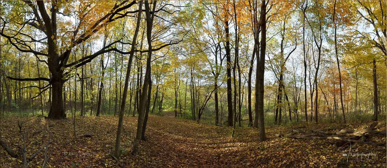 Panorama of LeRoy Oakes Forest Preserve in Autumn